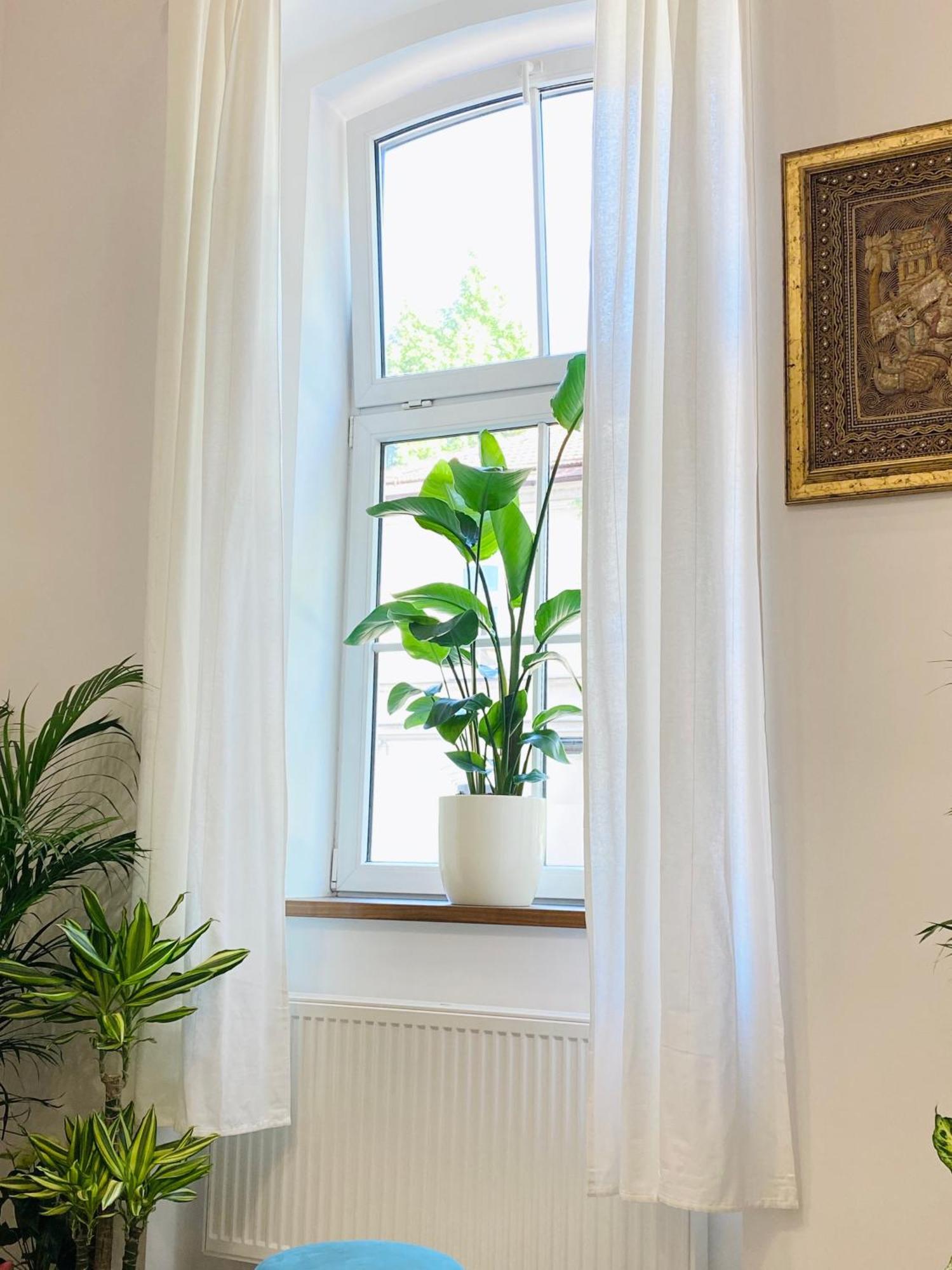 Jungle Loft - Central/Free Parking Lublaň Exteriér fotografie